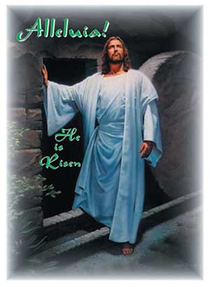 Parish Bulletin
